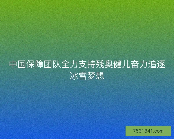 中国保障团队全力支持残奥健儿奋力追逐冰雪梦想 中国保障团队全力支持残奥健儿奋力追逐冰雪梦想