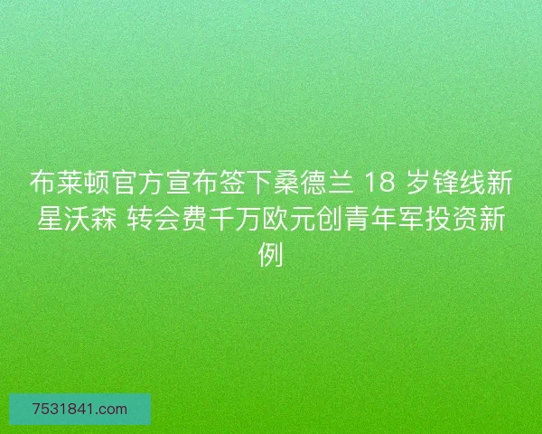 布莱顿官方宣布签下桑德兰 18 岁锋线新星沃森 转会费千万欧元创青年军投资新例