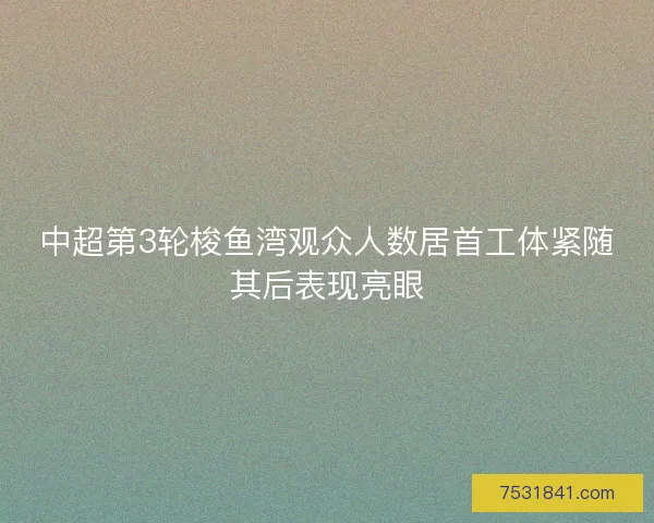 中超第3轮梭鱼湾观众人数居首工体紧随其后表现亮眼 中超第3轮梭鱼湾观众人数居首工体紧随其后表现亮眼