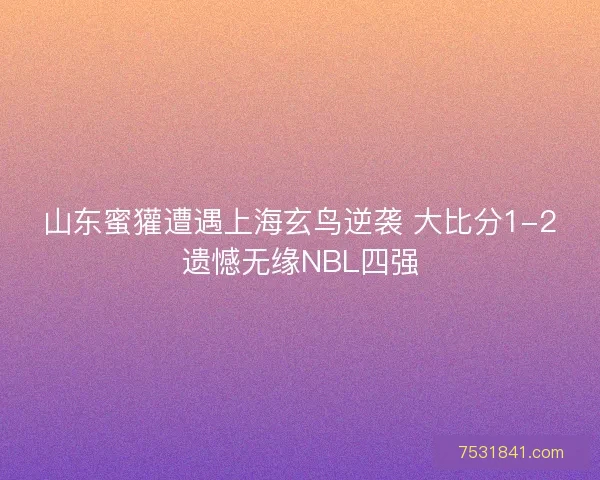 山东蜜獾遭遇上海玄鸟逆袭 大比分1-2遗憾无缘NBL四强